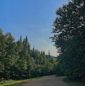 Meet your Posher, Jo-lynn